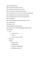 Konspekts 'Literatūras jēdzieni. Kā rakstīt domrakstu', 2.