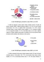Prakses atskaite 'Valsts ieņēmumu dienesta Rīgas reģionālās iestādes Latgales priekšpilsētas nodaļ', 19.