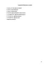 Prakses atskaite 'Valsts ieņēmumu dienesta Rīgas reģionālās iestādes Latgales priekšpilsētas nodaļ', 43.