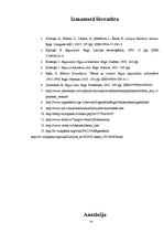 Referāts 'Jūgendstila pērle - Alberta iela Rīgā', 24.