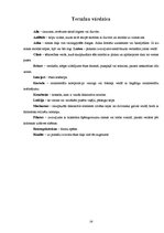 Referāts 'Jūgendstila pērle - Alberta iela Rīgā', 28.