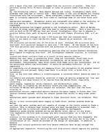 Eseja 'Malibu Fires', 3.