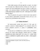 Referāts 'Latvijas Republikas izveidošanas tiesiskā bāze', 16.