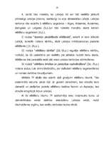 Referāts 'Latvijas Republikas izveidošanas tiesiskā bāze', 19.