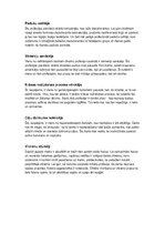 Konspekts 'Top profesijas', 4.