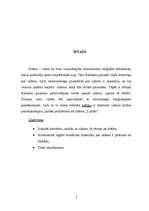 Referāts 'Islāma pieci pīlāri', 3.