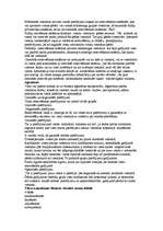 Konspekts 'Viesnīcu rezervēšana', 2.