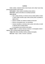 Referāts 'Kofeīns. Kofeīna praktiska izdalīšana', 2.