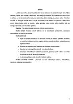 Referāts 'Kofeīns. Kofeīna praktiska izdalīšana', 5.