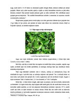 Referāts 'Kofeīns. Kofeīna praktiska izdalīšana', 8.