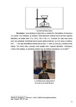 Referāts 'Kofeīns. Kofeīna praktiska izdalīšana', 15.