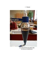 Referāts 'Kofeīns. Kofeīna praktiska izdalīšana', 27.