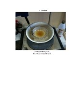 Referāts 'Kofeīns. Kofeīna praktiska izdalīšana', 28.