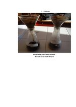 Referāts 'Kofeīns. Kofeīna praktiska izdalīšana', 30.