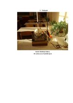 Referāts 'Kofeīns. Kofeīna praktiska izdalīšana', 31.