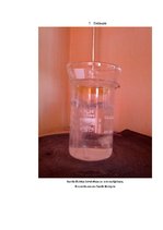 Referāts 'Kofeīns. Kofeīna praktiska izdalīšana', 32.