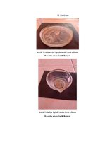 Referāts 'Kofeīns. Kofeīna praktiska izdalīšana', 35.