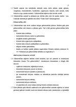 Prakses atskaite 'Prakses atskaite', 17.