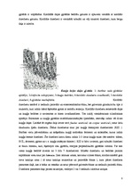 Konspekts 'Kuņģa histofizioloģija', 8.