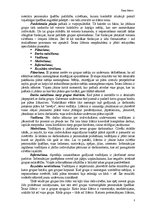 Referāts 'Īstais līderis', 7.