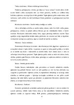 Prakses atskaite 'Mārketinga prakses atskaite', 6.