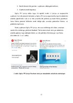 Prakses atskaite 'Mārketinga prakses atskaite', 13.