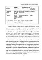 Prakses atskaite 'Mārketinga prakses atskaite', 25.