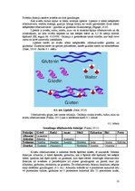 Referāts 'Baltmaizes un siera uzturvērtība', 18.