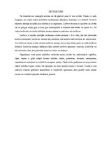 Referāts 'Ceļa locītavu traumas', 10.