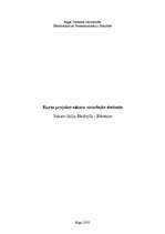 Referāts 'Sakaru līnija Jēkabpils - Rēzekne', 1.