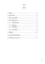 Konspekts 'Mūzikas instruments: ģitāra', 2.