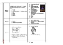 Prezentācija 'Romānikas un gotikas salīdzinājums', 2.