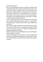 Konspekts 'Attīstošā programma uzmanības koncentrēšanas attīstīšanai', 2.