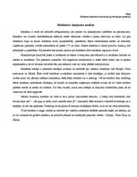 Eseja 'Reklāmas ziņojuma analīze', 1.