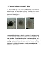 Referāts 'Влияние выхлопных и промышленых газов на экологию', 17.