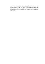 Eseja 'Kā es pavadīju vasaras brīvlaiku', 2.