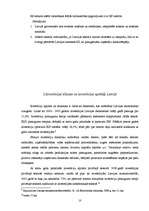 Referāts 'Ārējā tirdzniecība', 9.