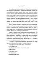 Konspekts 'Organizācijas kultūra', 1.