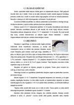 Referāts 'Piens, tā raksturojums un izmantošana', 16.