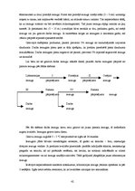 Referāts 'Piens, tā raksturojums un izmantošana', 42.