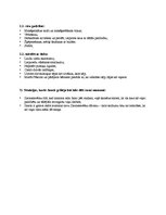 Konspekts 'Valdis "Staburaga bērni"', 2.