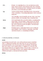 Konspekts 'Regīnas Ezeras darba "Aka" darba analīze', 2.