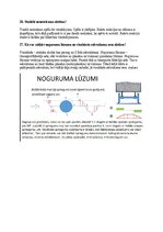 Konspekts 'Materiālu pretestības 2.daļas atbildes uz eksāmena jautājumiem', 6.