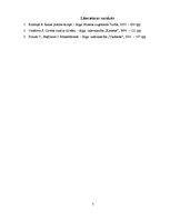 Eseja 'Runas process un saziņas partneru neverbālā uztvere', 7.