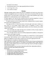 Referāts 'Uzņēmuma finansēšanas avoti', 16.