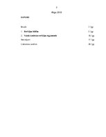 Referāts 'Revīzija', 2.