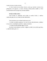 Referāts 'Revīzija', 9.