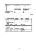 Biznesa plāns 'Interjera un arhitektūras birojs I/K UPE', 11.