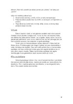 Referāts 'Japānas kultūras tradīcijas un īpatnību raksturojums', 10.