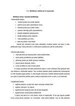 Referāts 'Reklāma', 6.